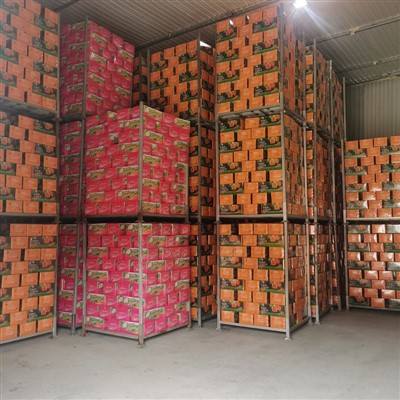 Seksyonèl anpile anpile